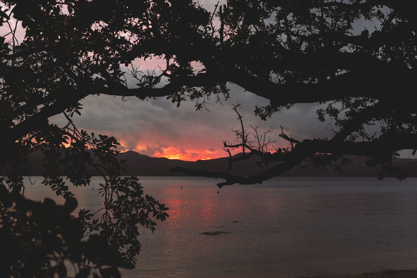 Le soleil se couche sur la crête des montagnes. En leurs sommets gisent des éoliennes. En premier plan entourant les montagnes, des branches et la mer