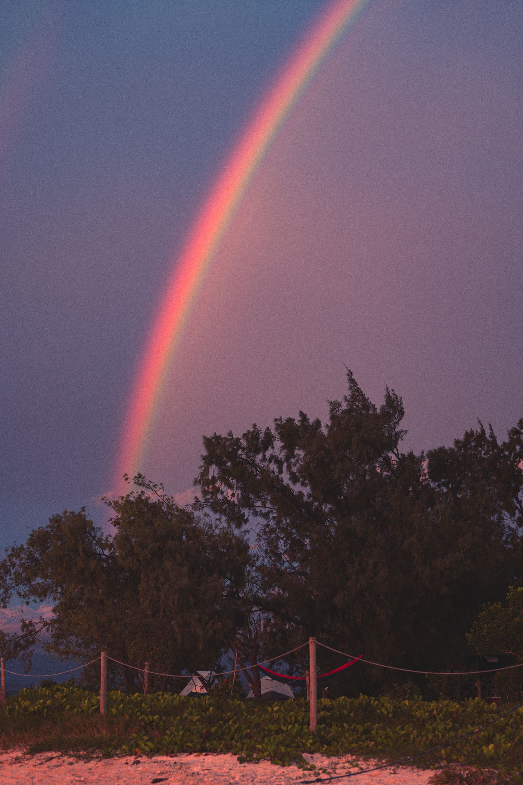 Sous les arbres au bord de mer, les tentes et le hamac. Au dessus un arc en ciel extrêmement lumineux