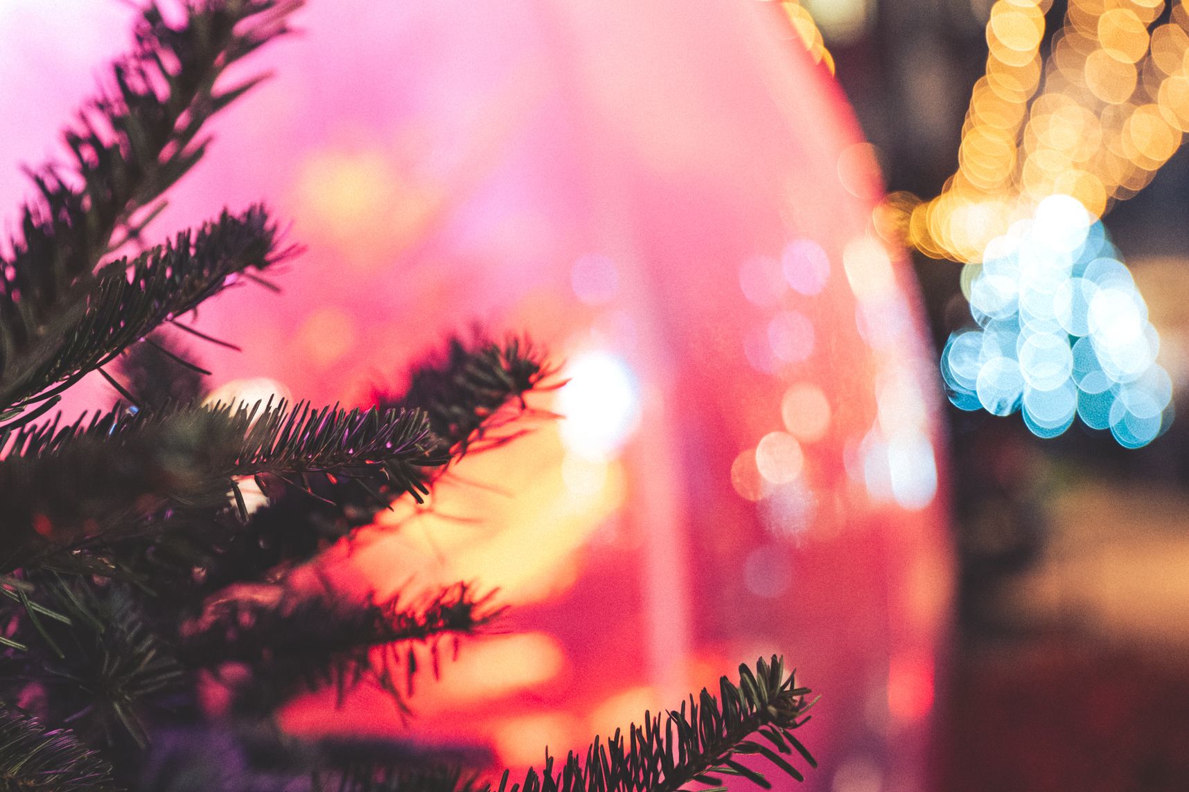 Vannes est illuminée pour les fêtes de Noël. Au premier plan les épines d'un sapin. En arrière plan dans le flou une bulle orangée et des illuminations