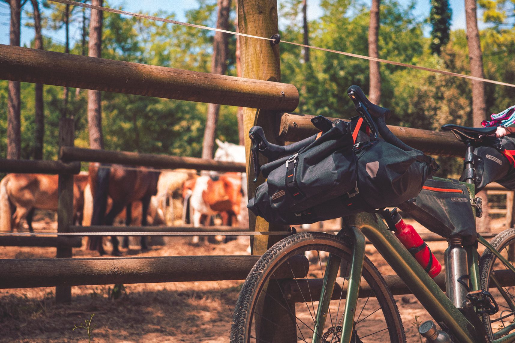 Le vélo chargé pour le bikepacking est accosté à la rambarde, derrière les chevaux sont tranquilles à l'ombre des arbres