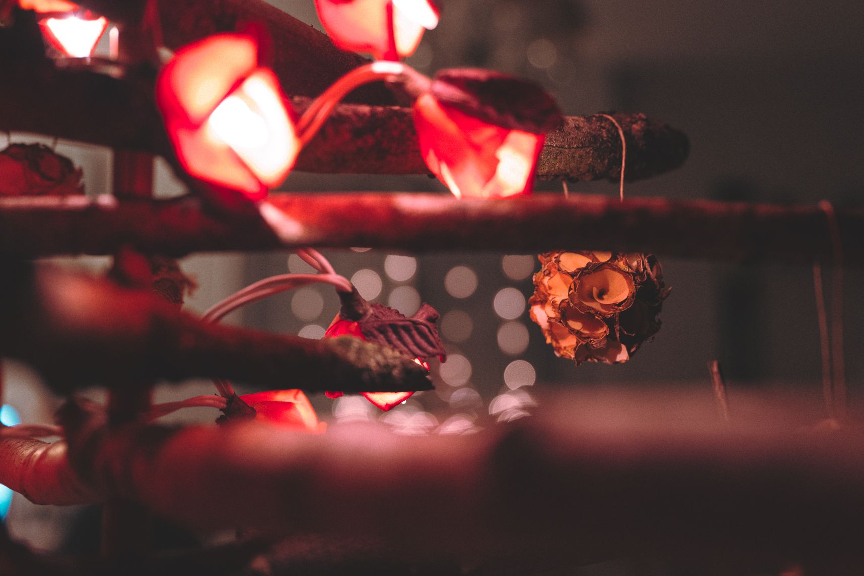 Vue rapprochée sur le sapin de Noël fait de branches. Mise au point sur une boule faite en copeau de bois. Dans la nuit les guirlandes illuminent le sapin