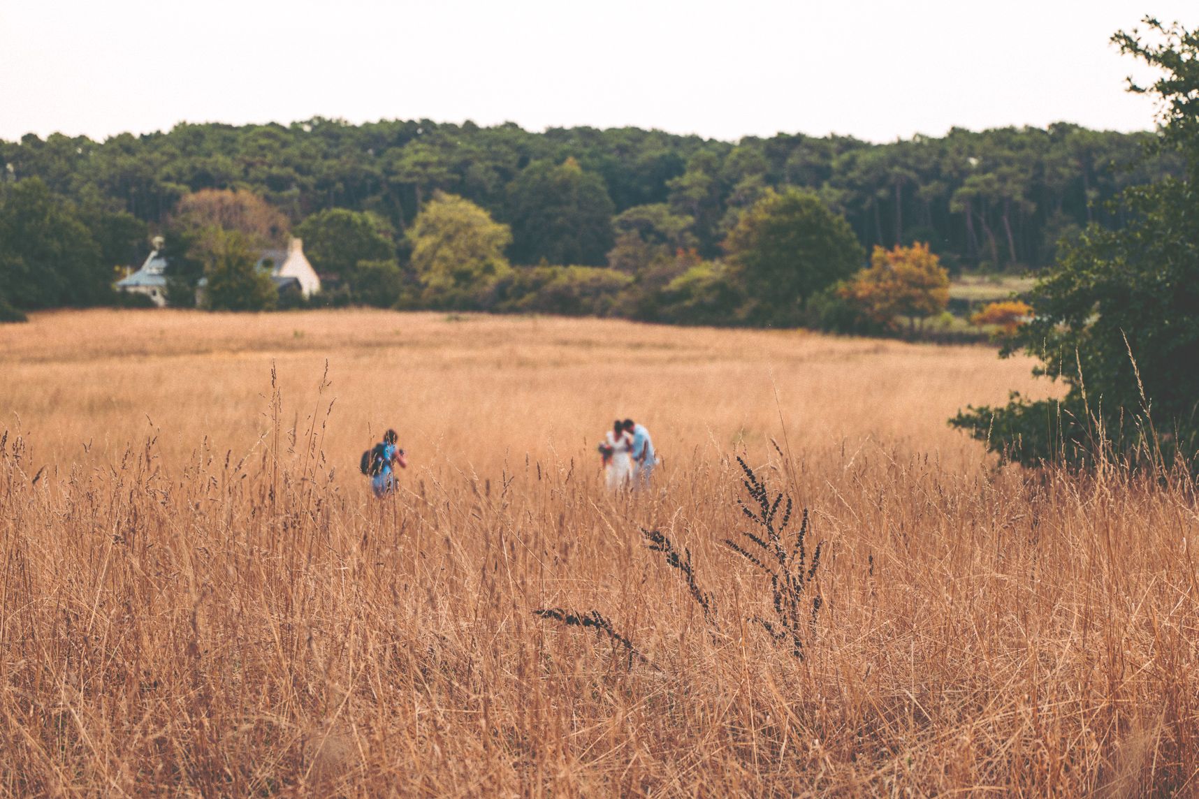 Les mariés prennent la pose au milieu du champ, non loin la photographe saisie le moment. Au loin une petite maison dans la forêt