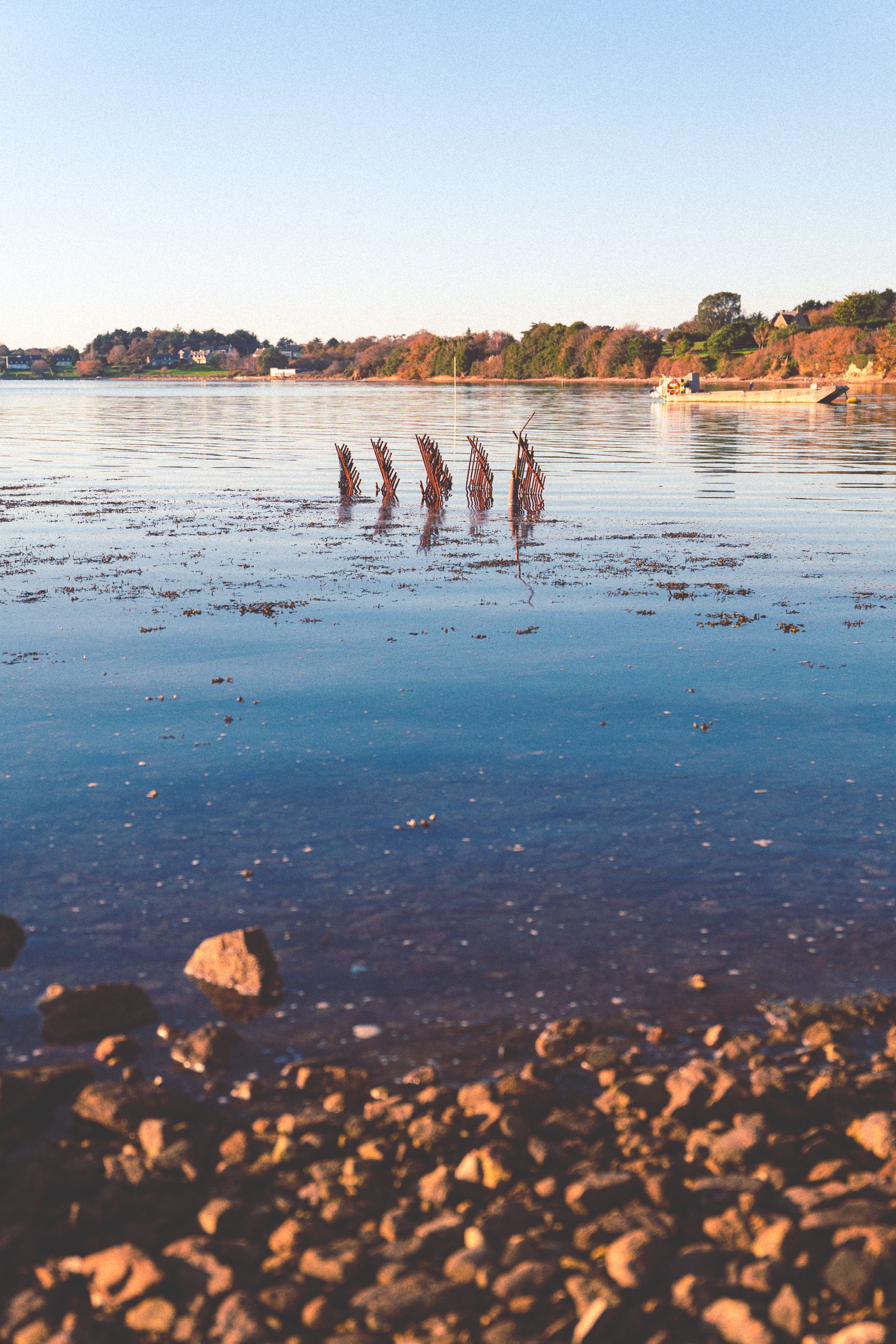La mer est calme. Le soleil offre une belle lumière avec de magnifique reflet. En premier plan les galets de la plage. Au centre 5 restes d'instruments de pêche qui sortent de l'eau. En arrière plan les arbres aux couleurs automnales