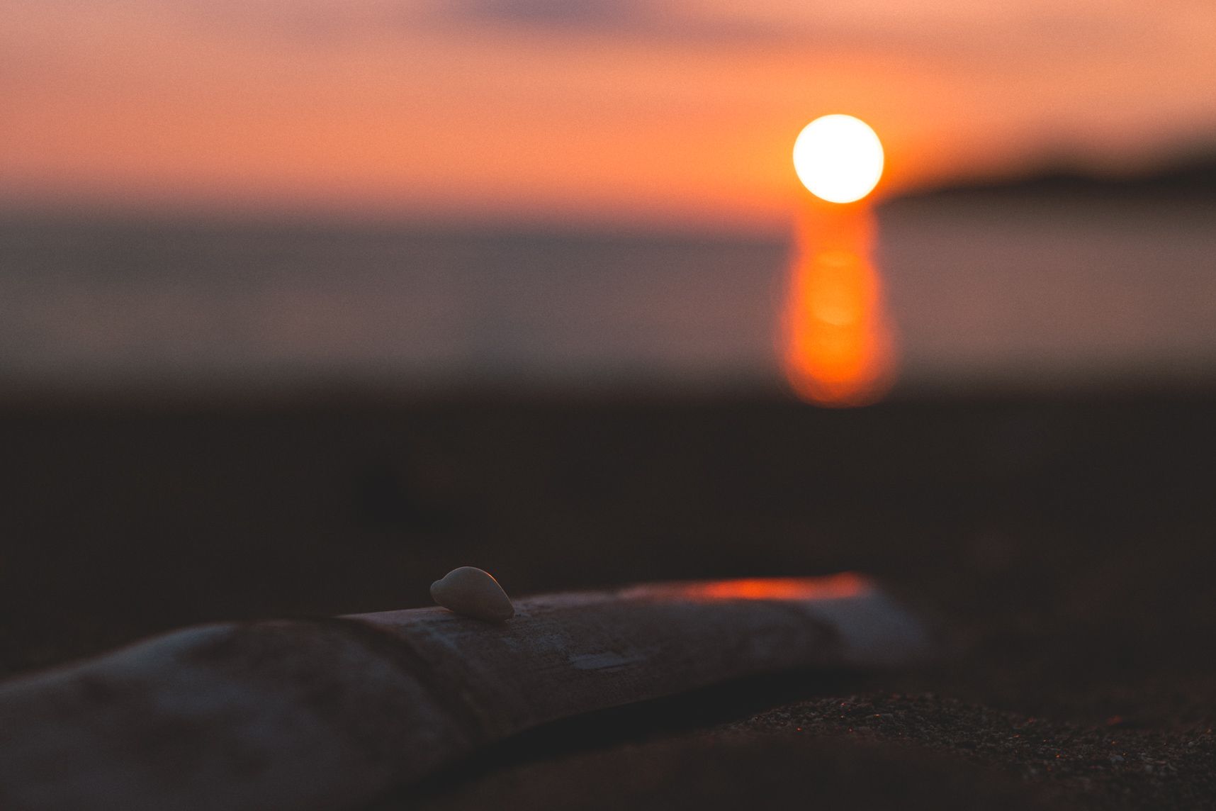 Le soleil se couche sur la plage de la roche percée. En premier plan un coquillage sur un bout de bois avec les reflets du soleil. Dans le flou le soleil et la mer