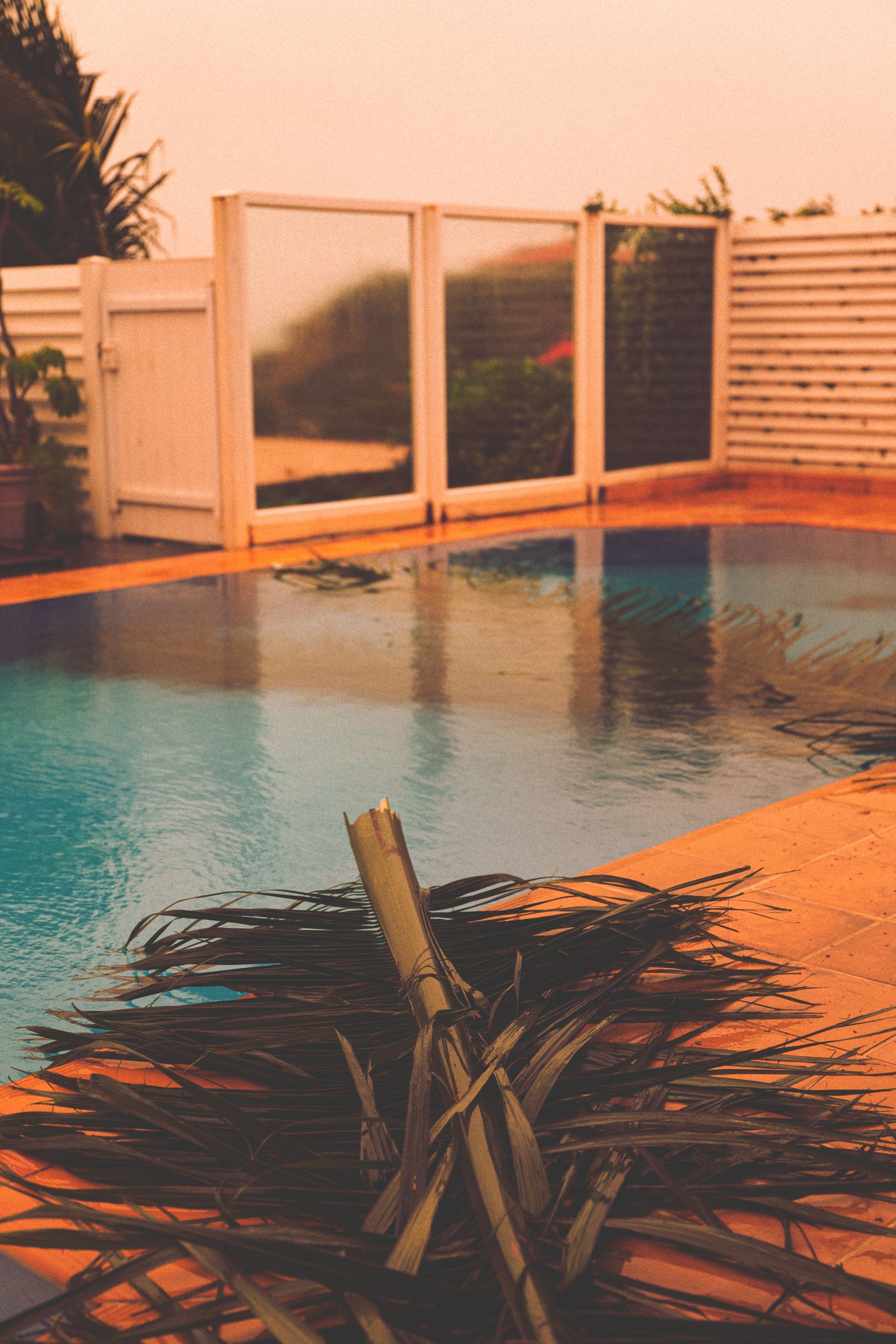 Après le cyclone les branches de palmier sont tombées aux abords et dans la piscine. Le temps est encore gris avec une teinte jaunâtre