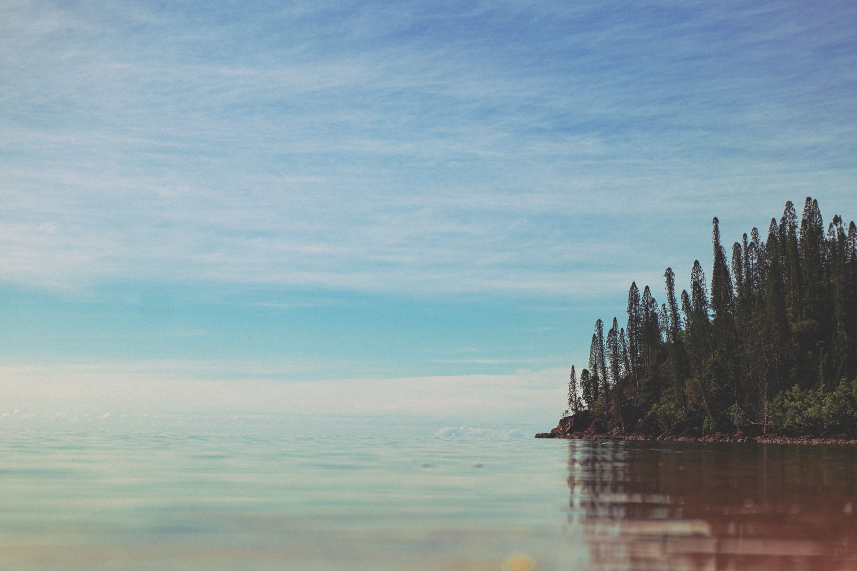 La côte, avec ses pins colonnaires, avance sur la mer. L'eau est calme. Le ciel bleu et les nuages s'y reflètent. On a du mal à distinguer l'horizon
