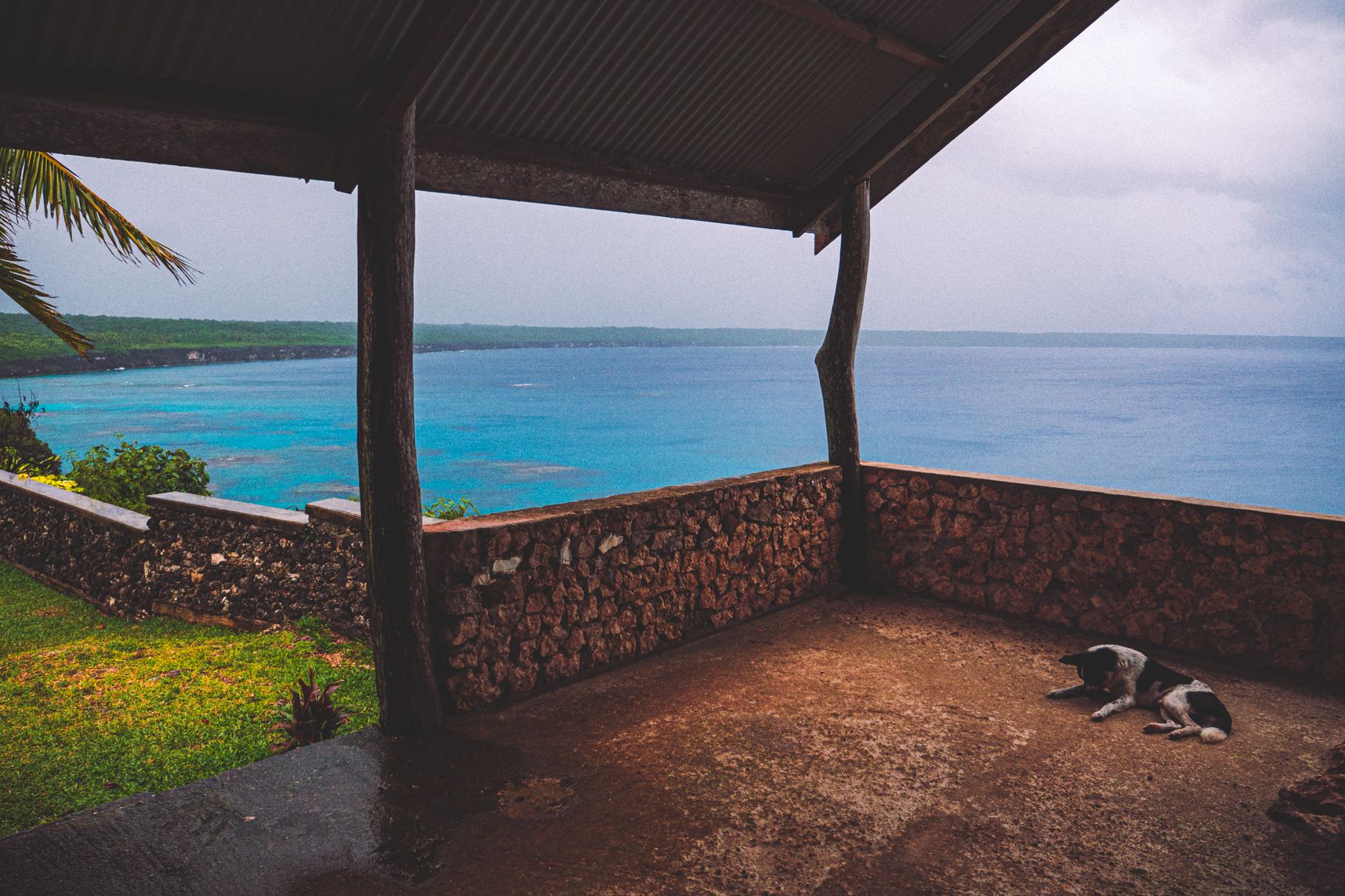 Dans un abris en haut de la falaise un chien est abrité. Au loin les nuages sont gris et il pleut averse. Malgré tout le paysage de Lifou reste magnifique avec son eau turquoise