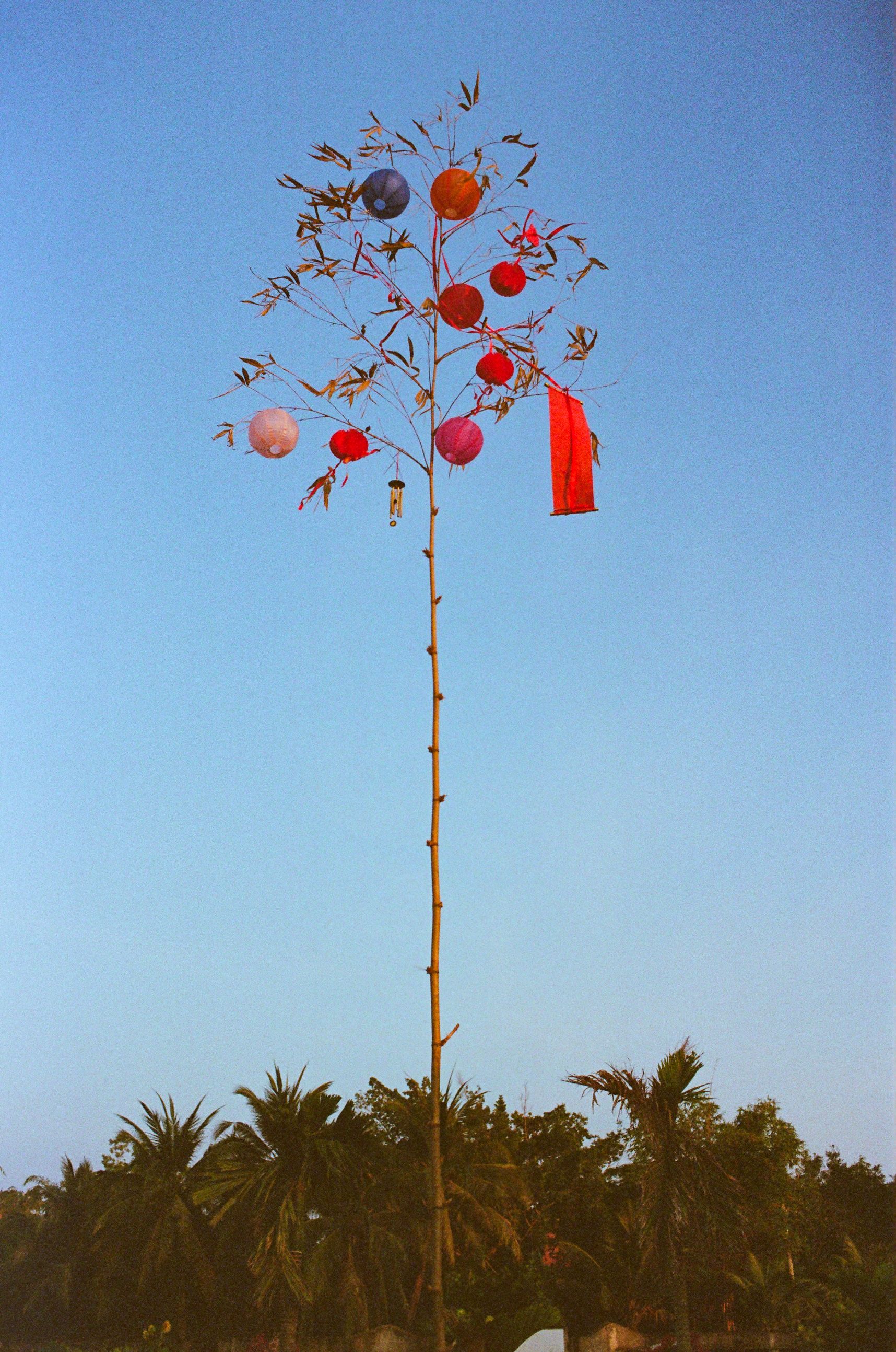Un bambou long et fin où toutes les branches, sauf en haut, ont été coupées. Sur les branches des décorations asiatiques. En arrière plan le ciel bleu. Au pied les palmiers