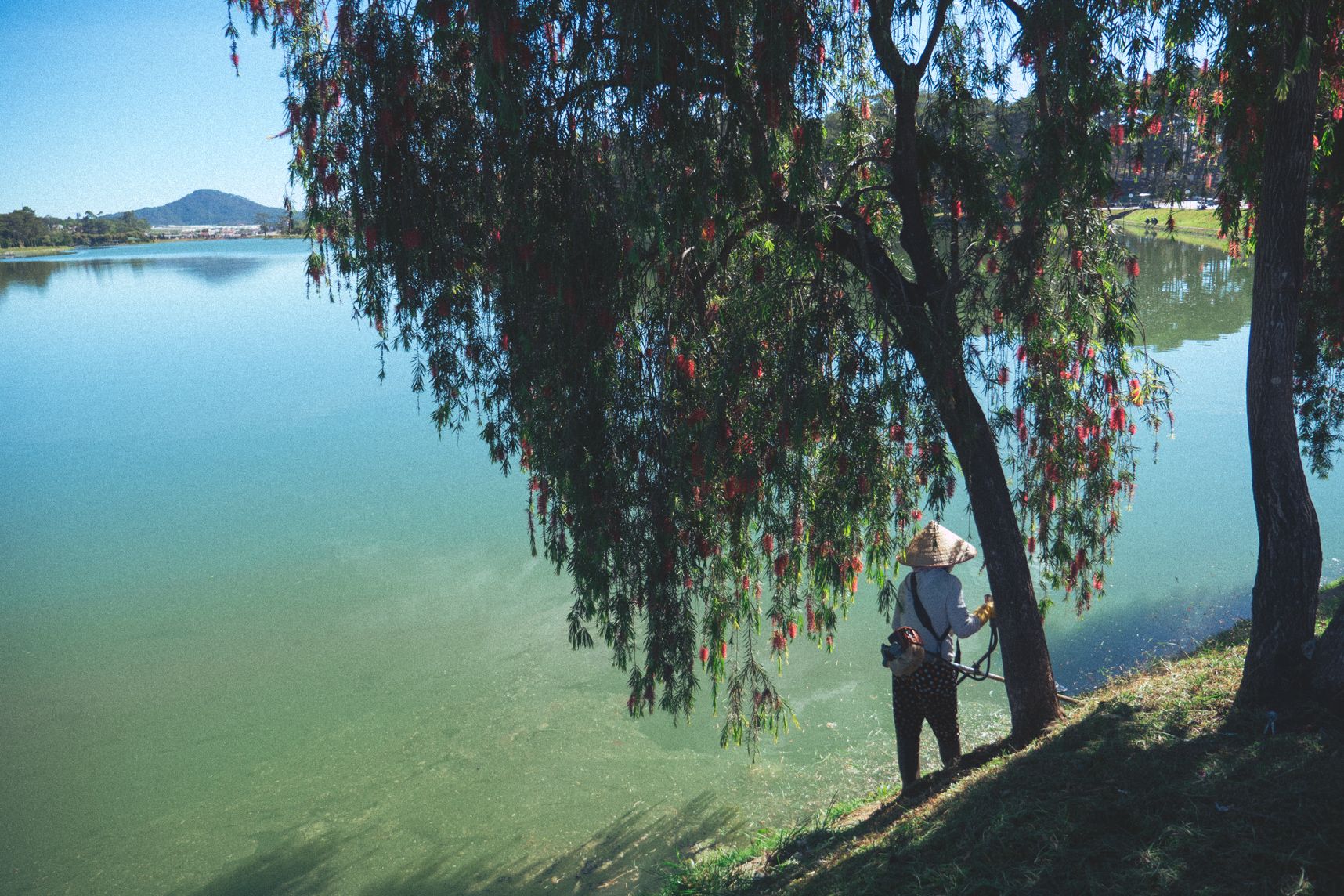 Couper l'herbe sous le pied