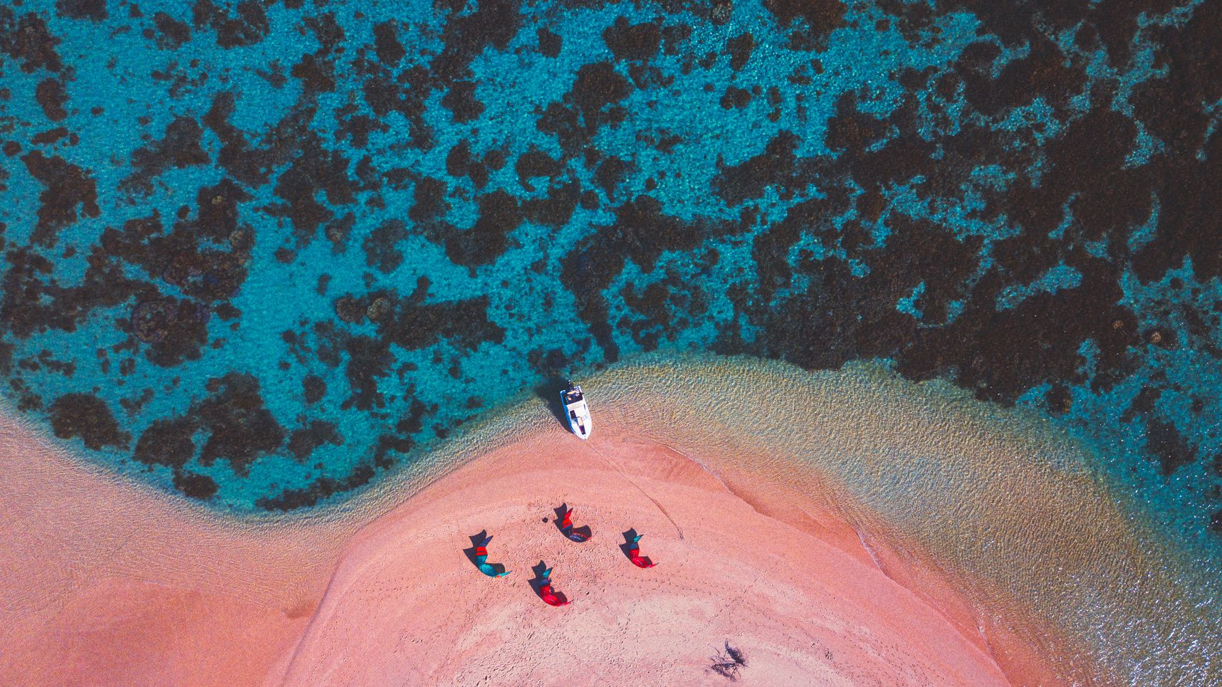 Quatre ailes de kitesurf prêtes à décoller sur la plage de l'îlot Tenia
