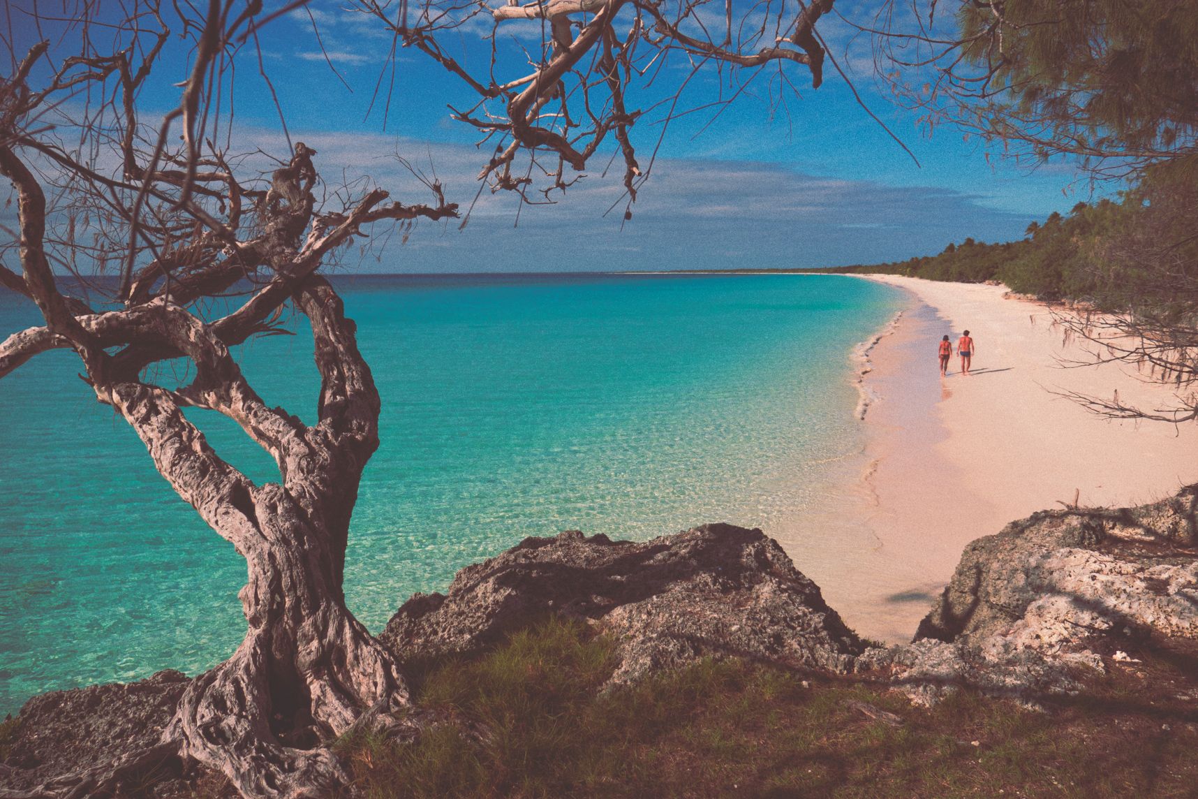 Sur la plage interminable d'Ouvéa deux amoureux se ballade. L'eau est turquoise. En premier plan des arbres encadrant le couple