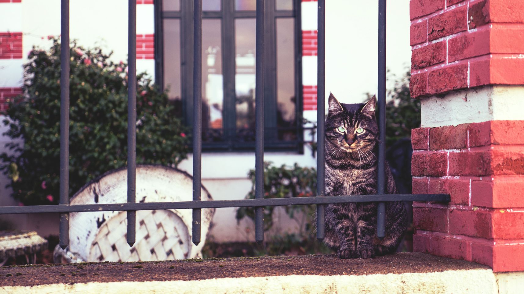 I'm watching you (2)