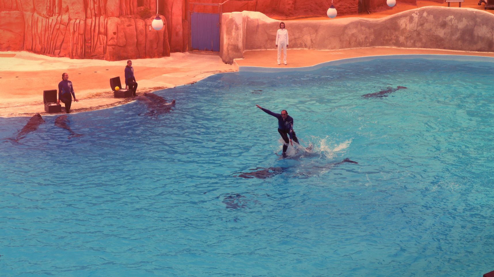 Flipper le surfeur