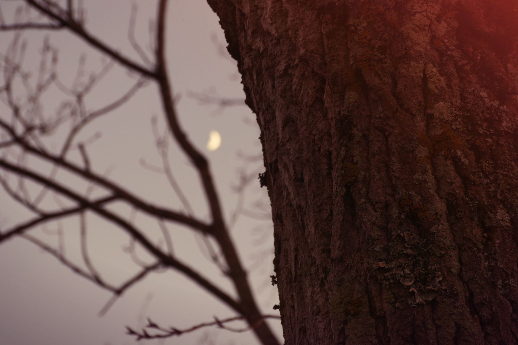Décrocher la lune