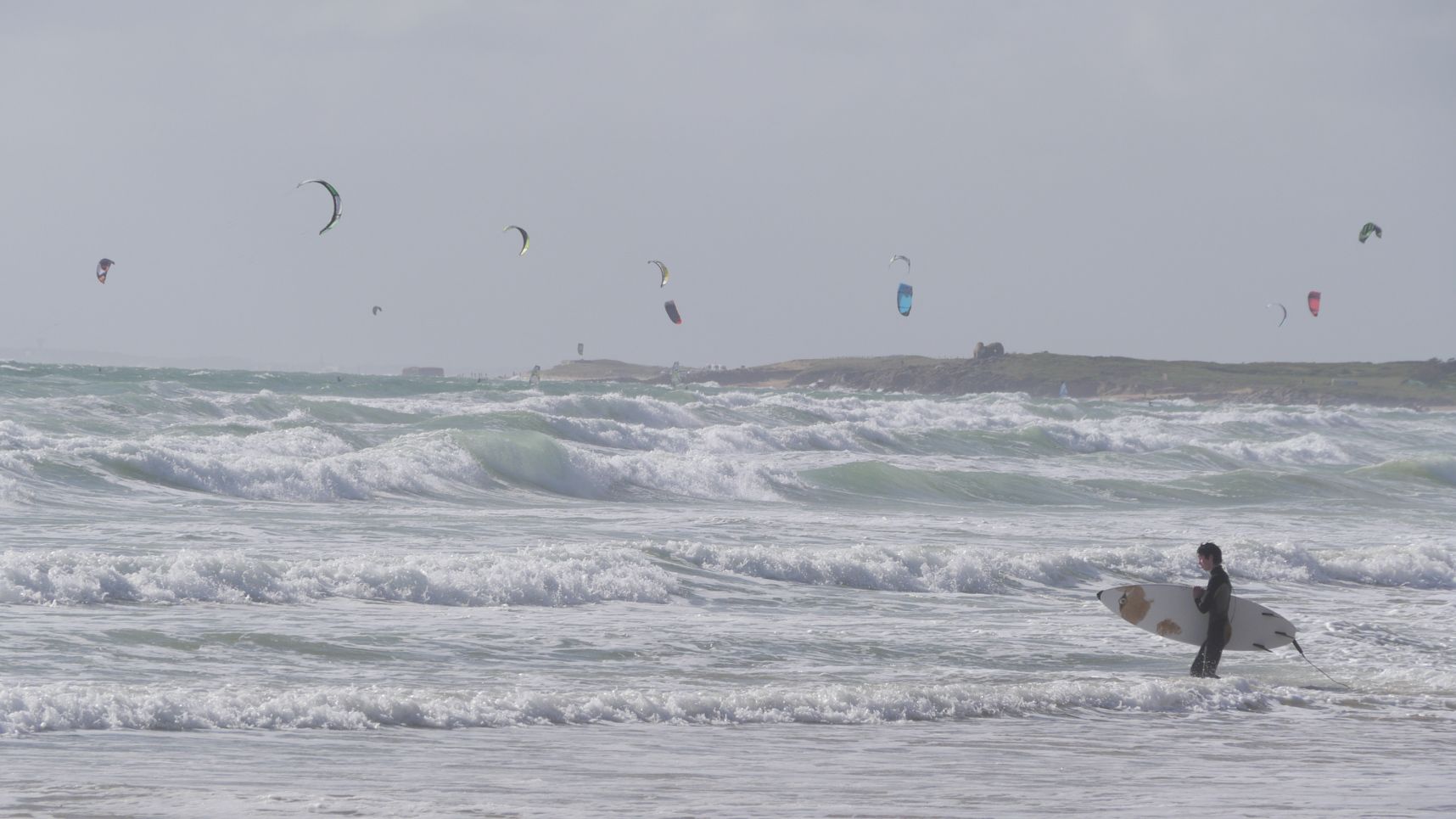 Rouleaux de printemps