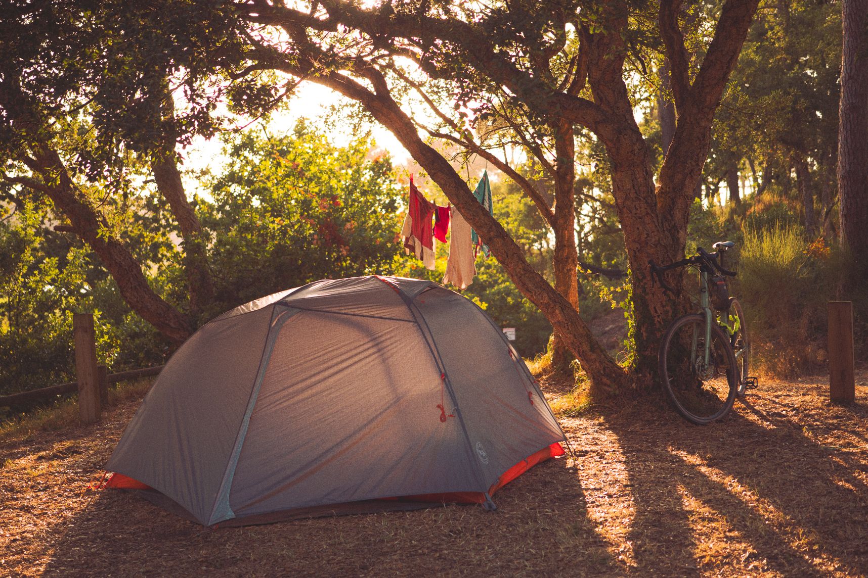 Une tente installée sous les arbres, le vélo adossé au tronc, les vêtements en train se sécher sur un fil et le coucher de soleil à travers les feuilles