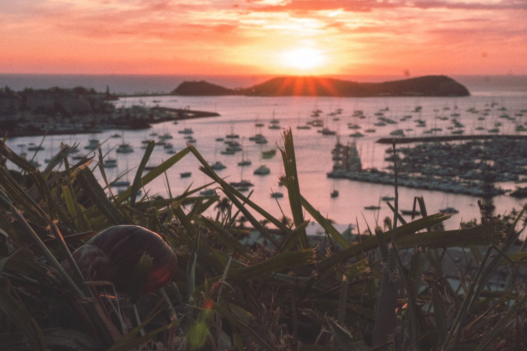 Sur la bute dans l'herbe, l'escargot regarde le coucher de soleil et les bateaux sur la baie de l'orphelinat à Nouméa