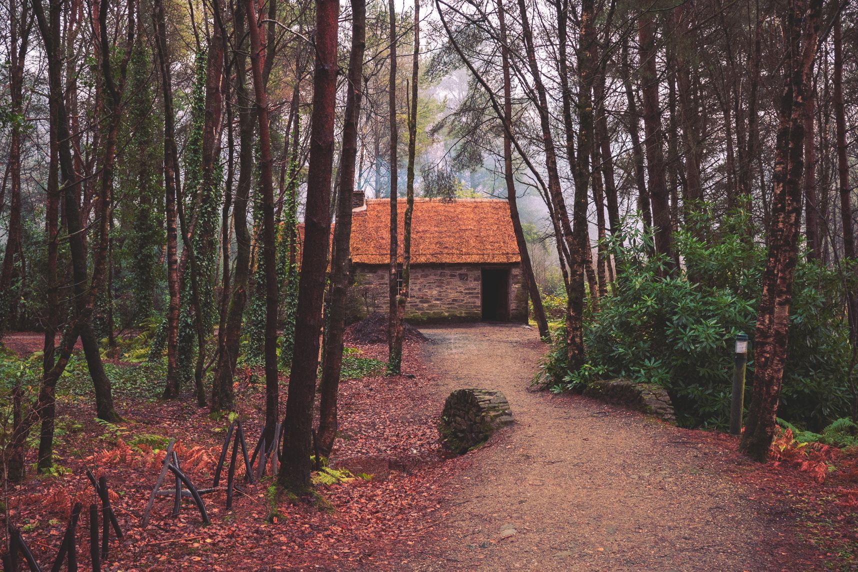 Dans la forêt Irlandaise, une vieille maison se cache dans la brume