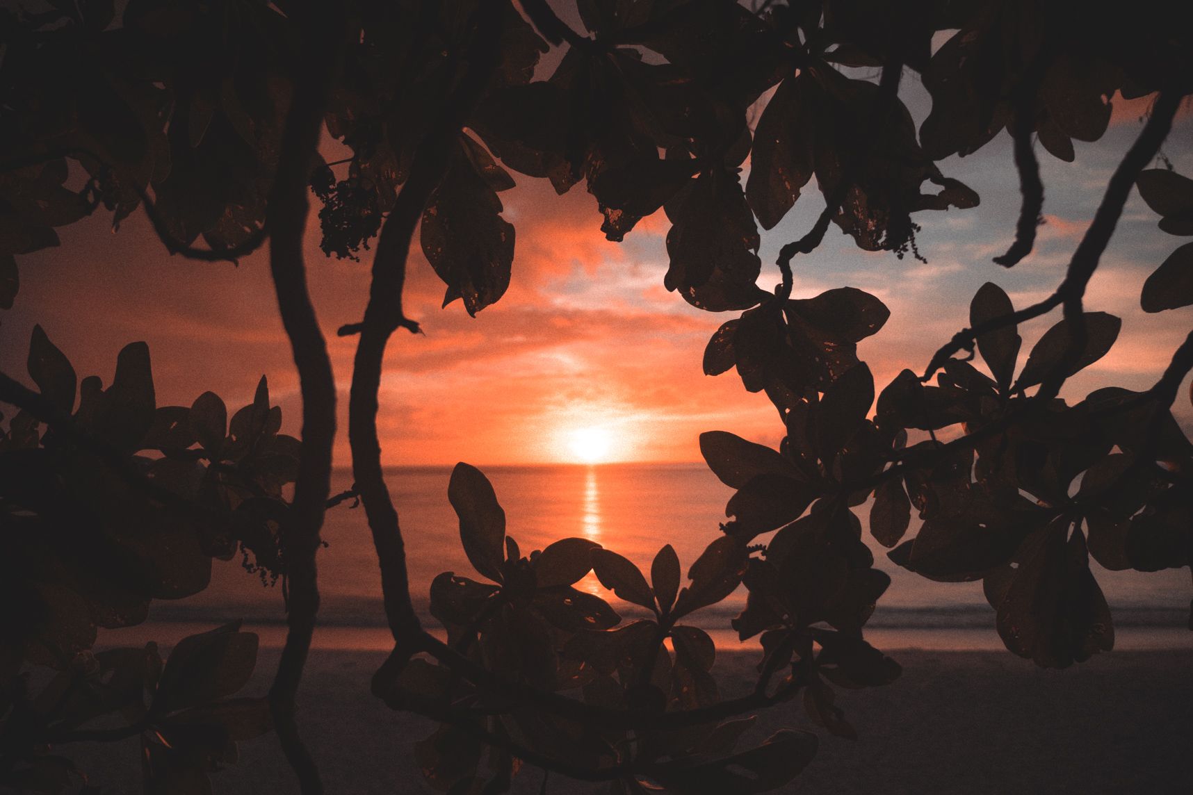 Coucher de soleil sur la plage d'Ouvéa a travers un trou entre les branchages