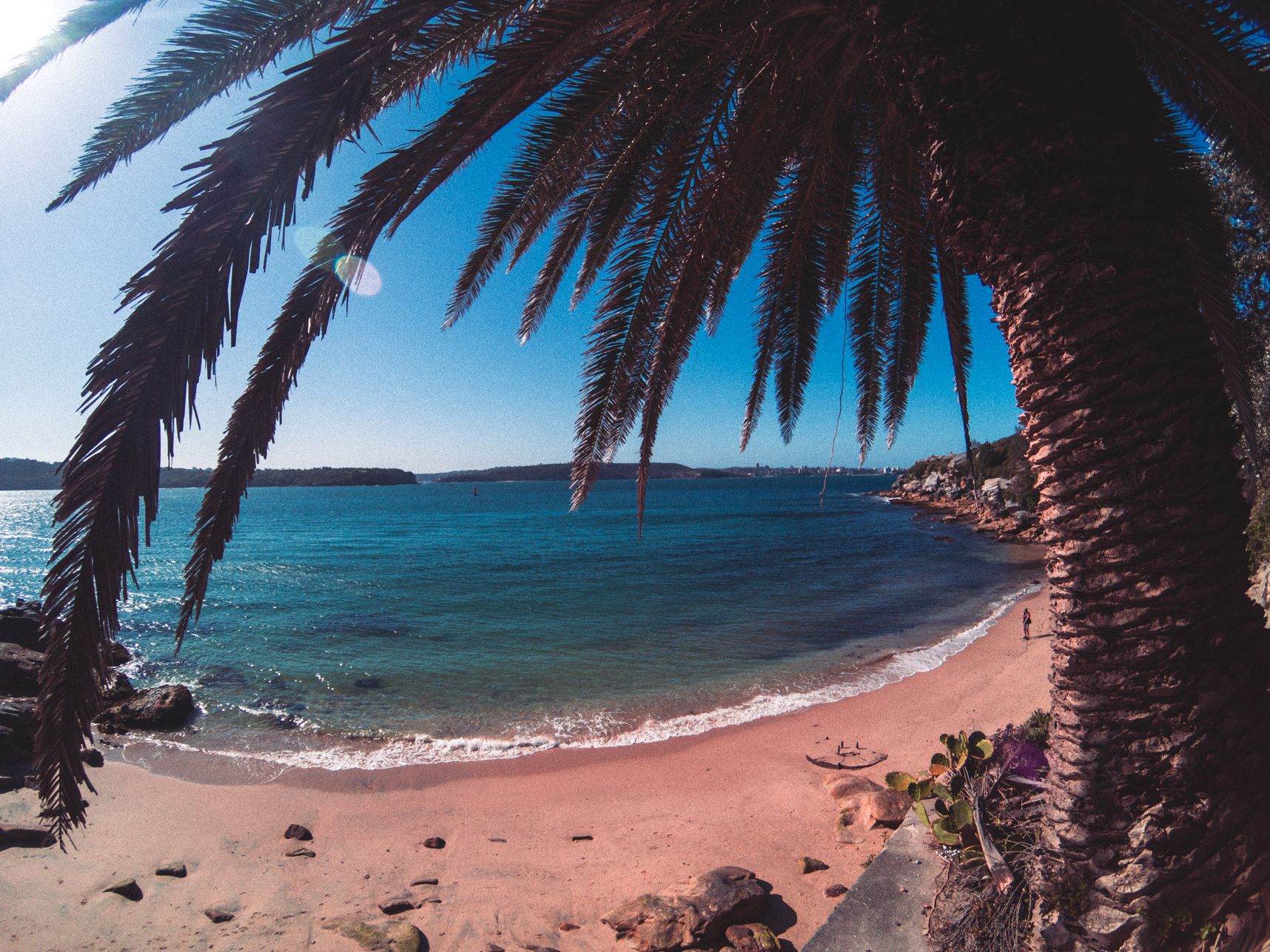 Les doigts de pieds en palmier