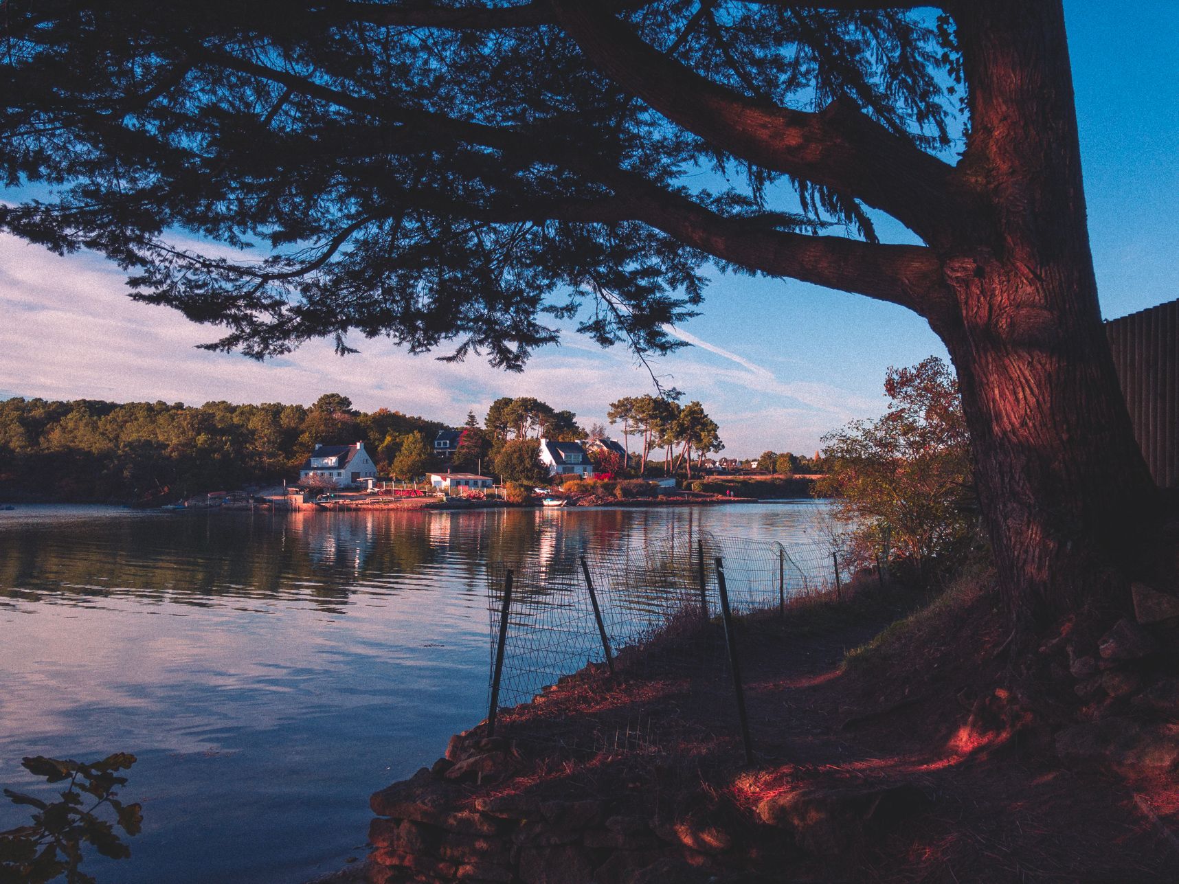 Le Golfe du Morbihan à la golden hour. L'eau est calme, derrière le grand arbre reflète les maisons au bord de l'eau