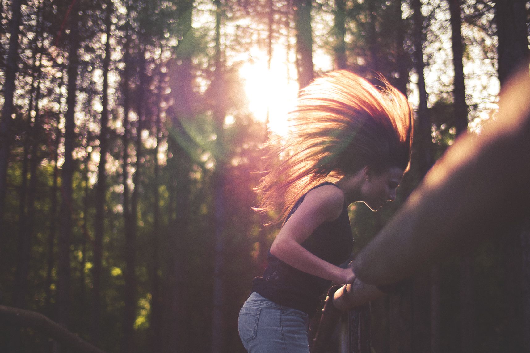 Les rayons du soleil