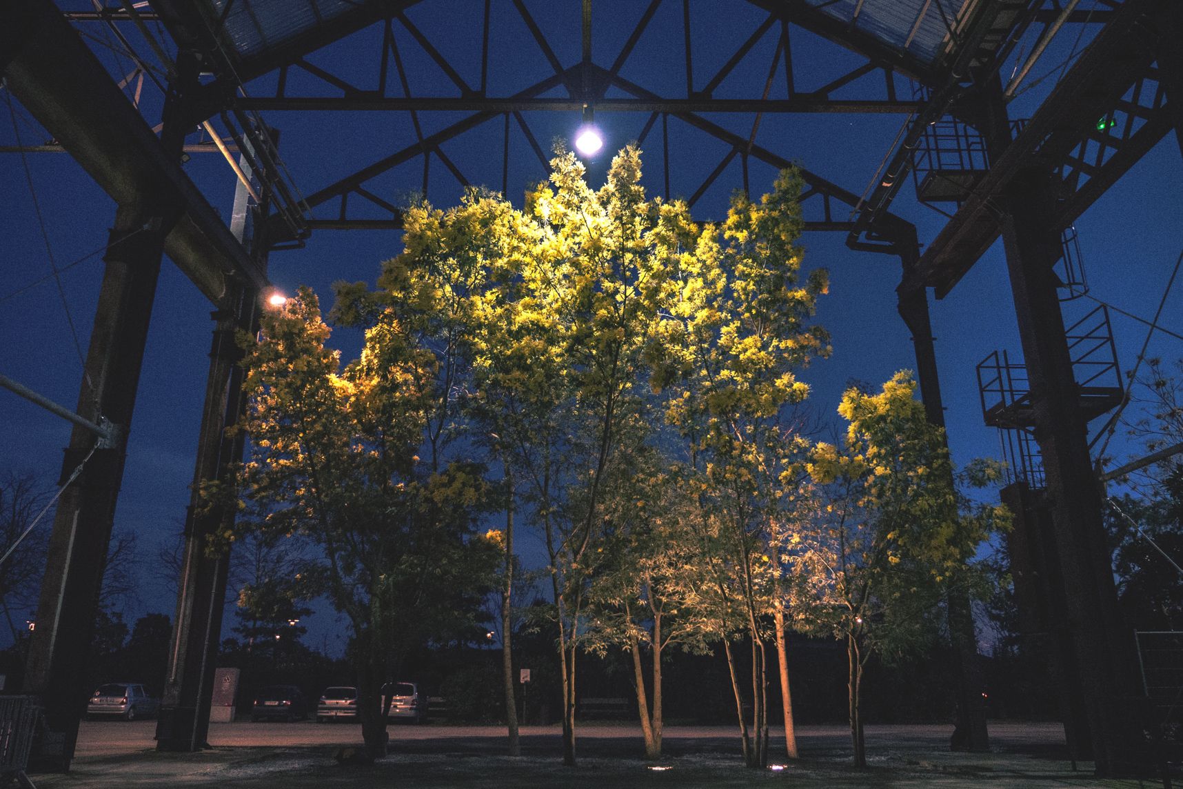 Lumière artificielle