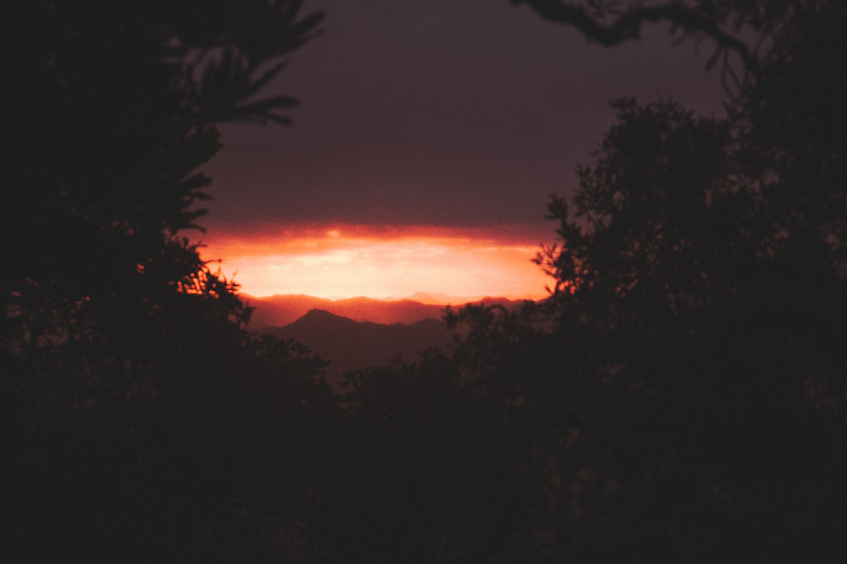 Le coucher de soleil fait une apparition entre les arbres, les montagnes et les nuages