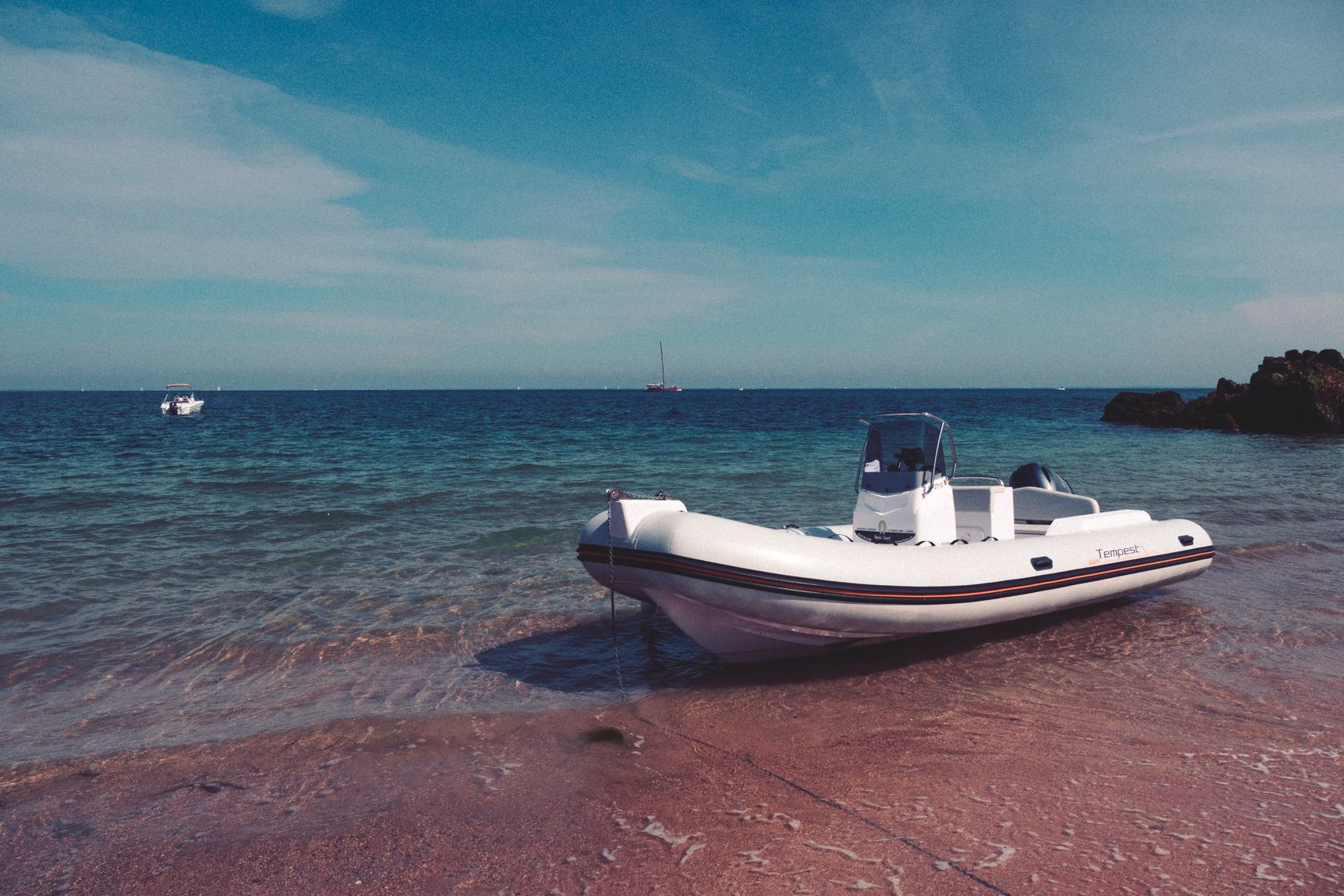 Mon fidèle destrier