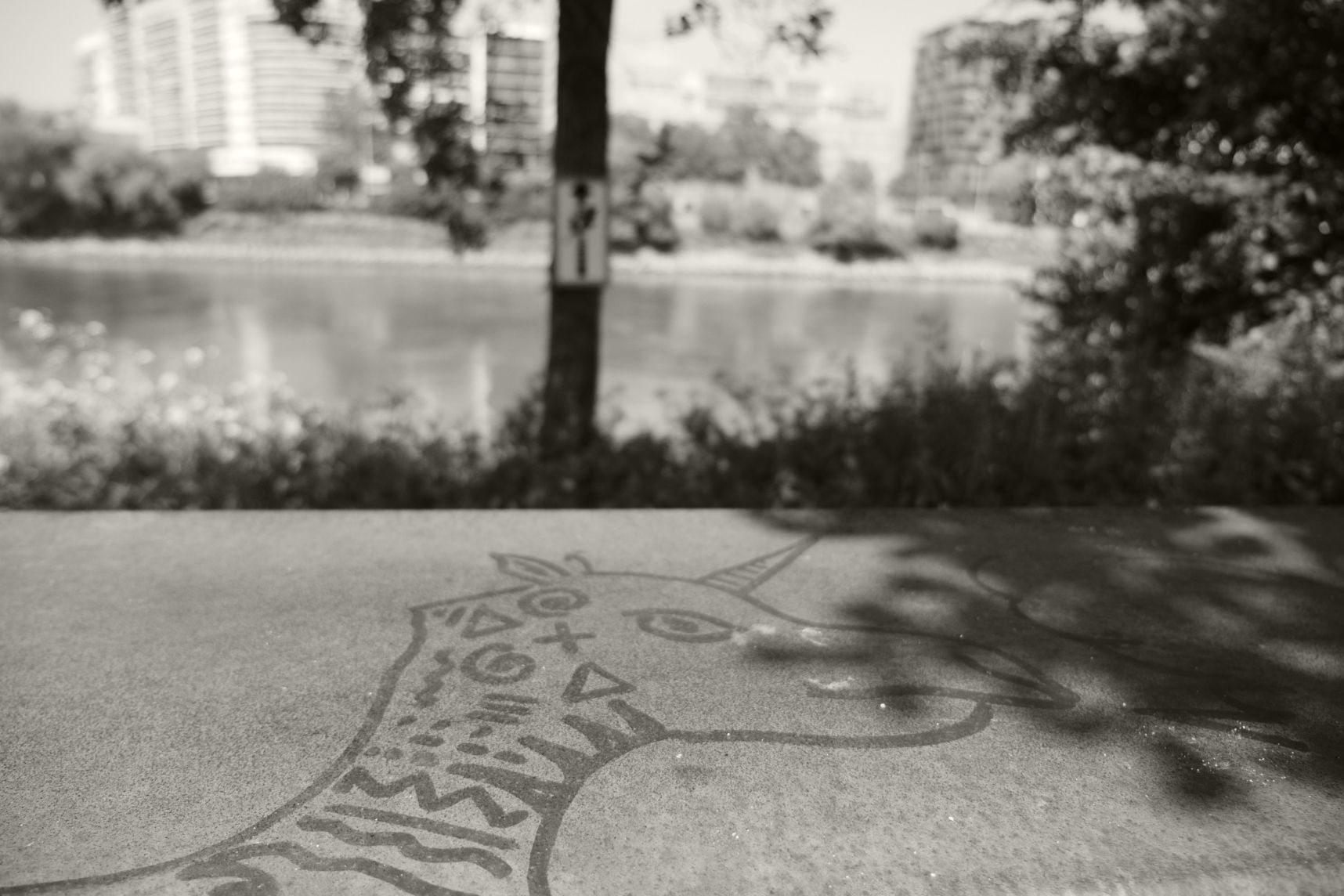 Montre moi le monstre de la Loire !