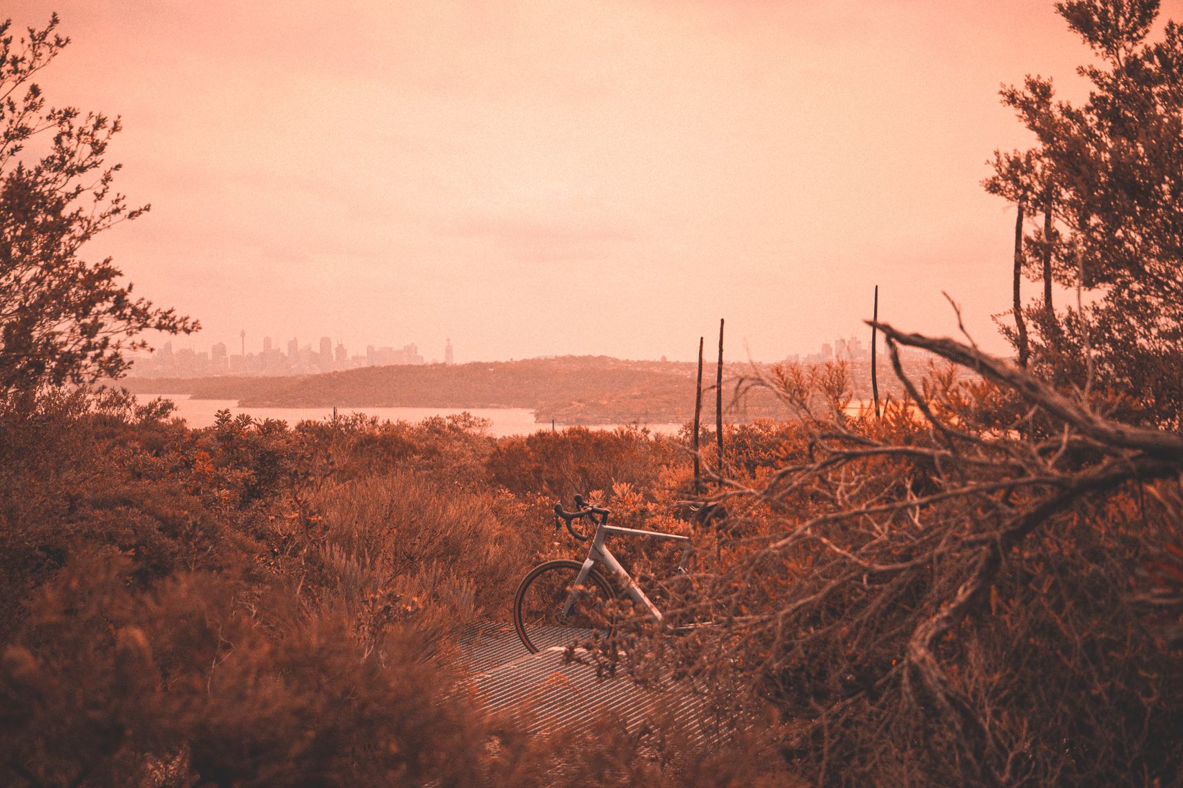 Vue de North Head sur la baie et le CBD de Sydney, au milieu mon vélo est caché derrière les arbustes