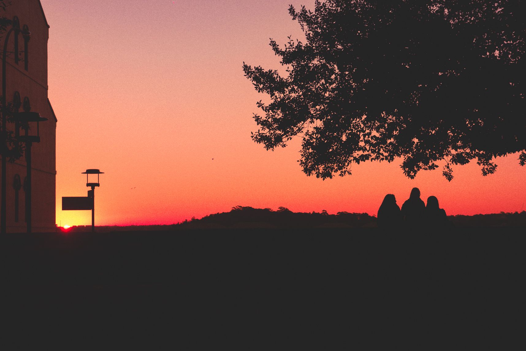 Des silhouettes, un arbre et le coucher de soleil