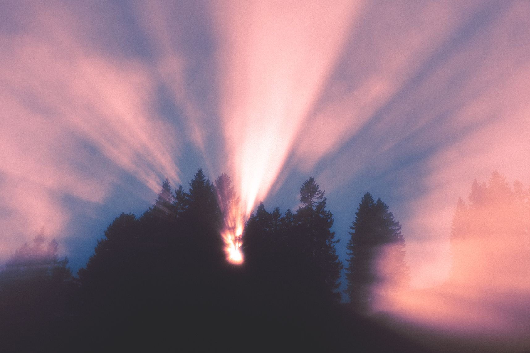 Les derniers rayons lumineux passent à travers les arbres et caressent la brume. On aperçoit quand même le ciel bleu