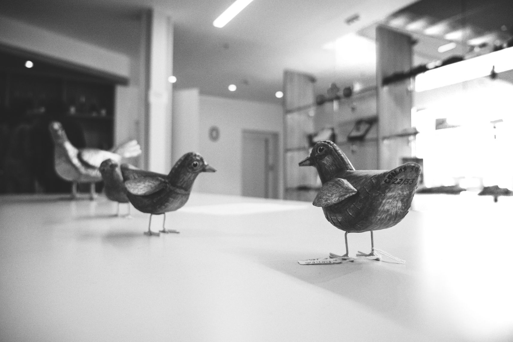 Reluquer