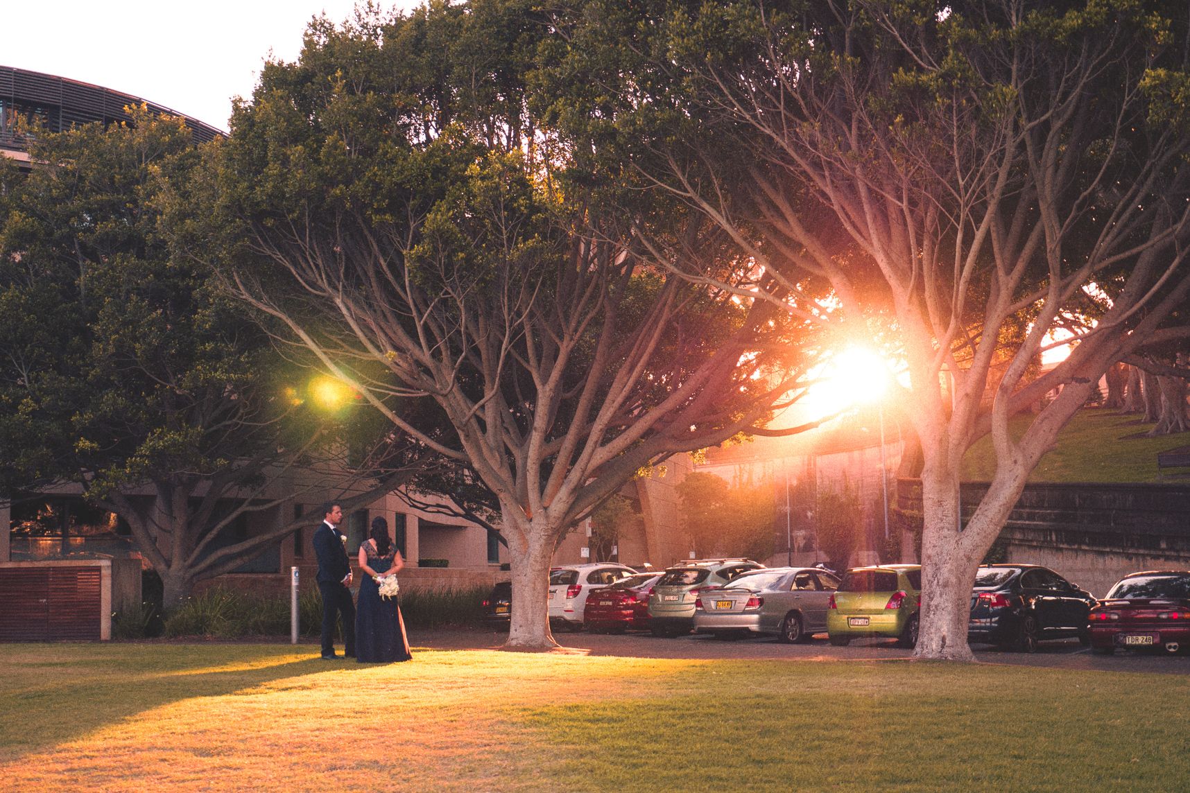 Le coucher de soleil de Sydney passe à travers les vieilles branches de l'arbre. Les rayons illuminent les mariés