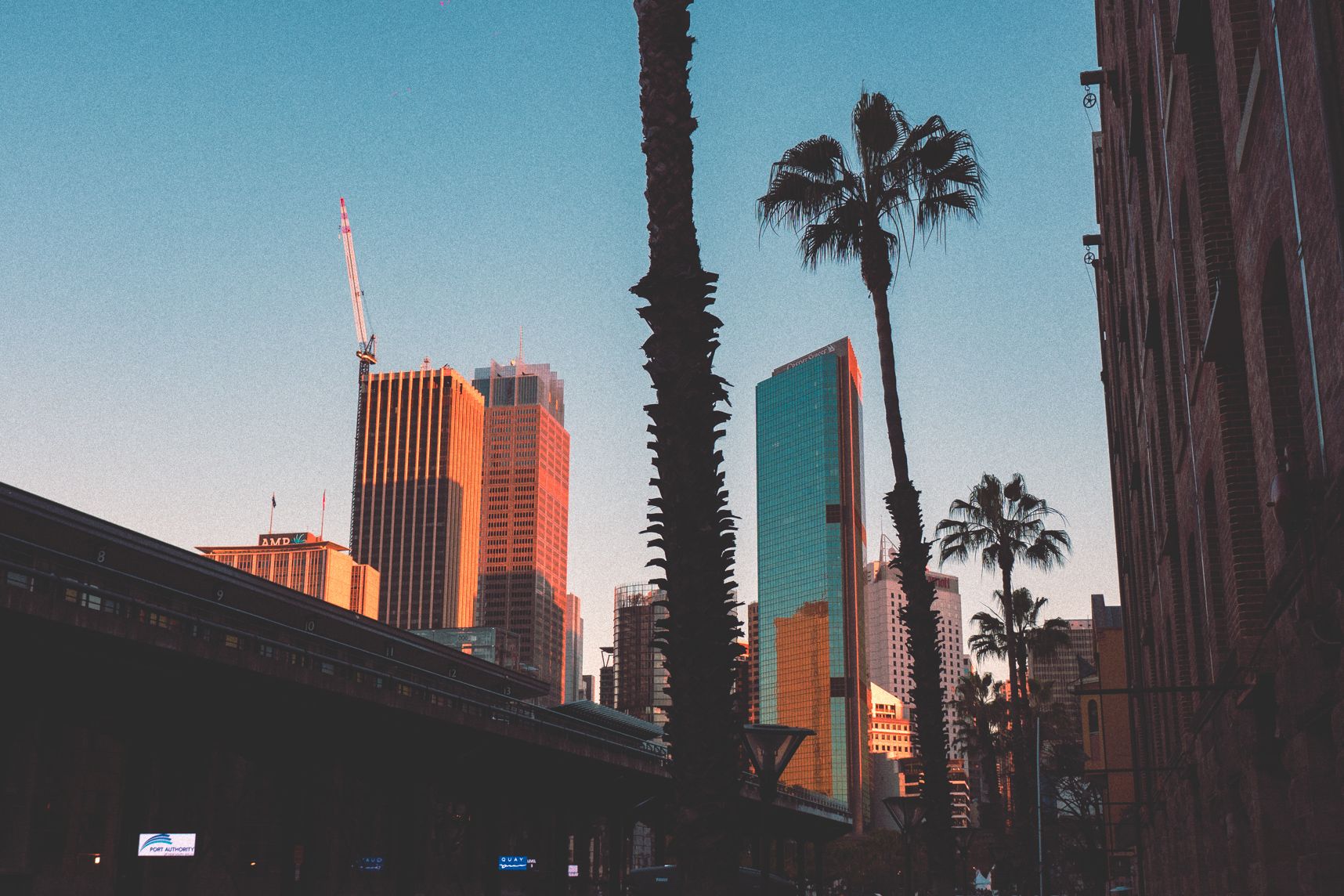 Même en hive le CBD de Sydney a des allures de vacances au soleil. Les cocotiers et les couleurs du coucher de soleil rappellent l'été