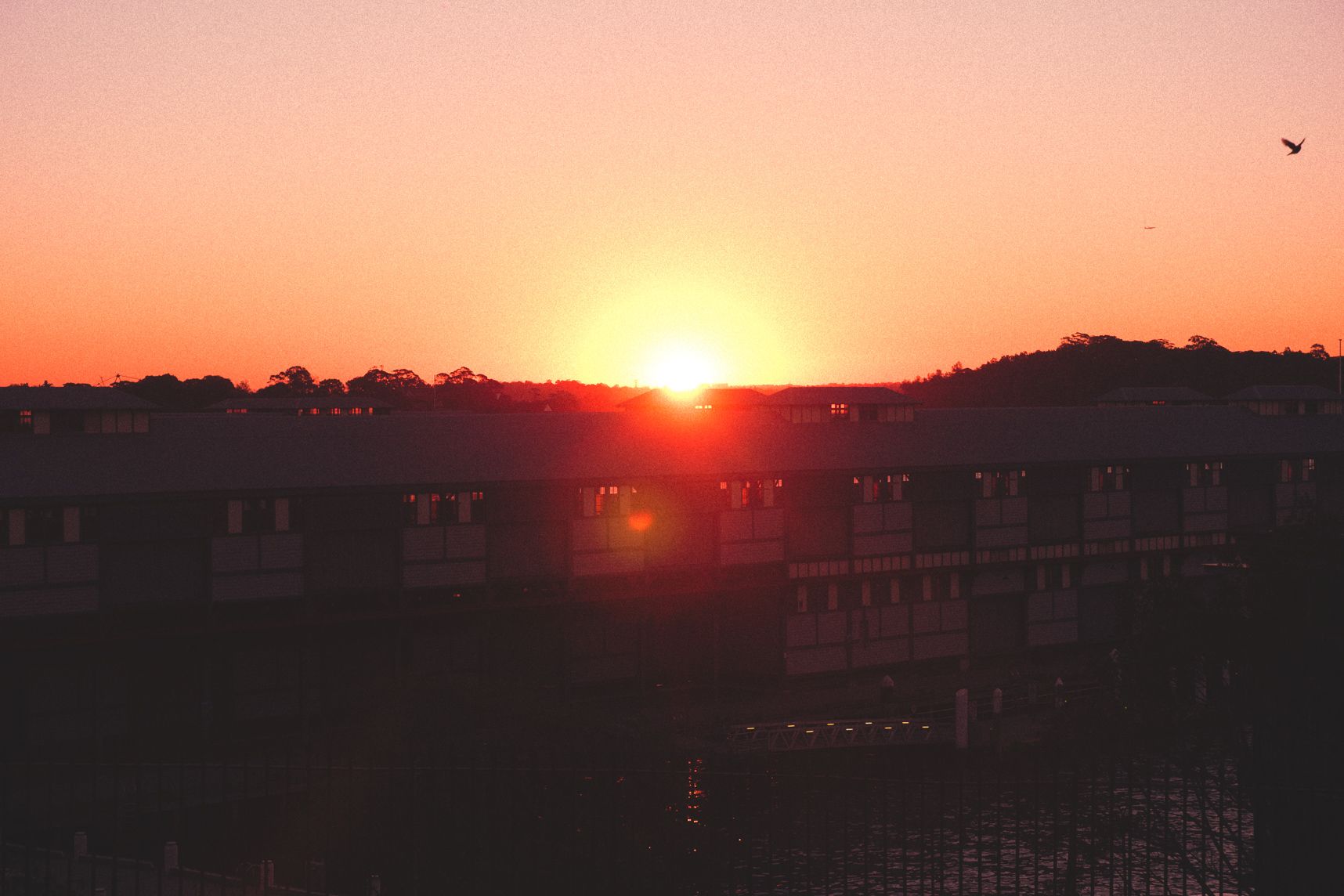Le coucher de soleil tape à la fenêtre des piers de Sydney. On le voit traverser tout le bâtiment 