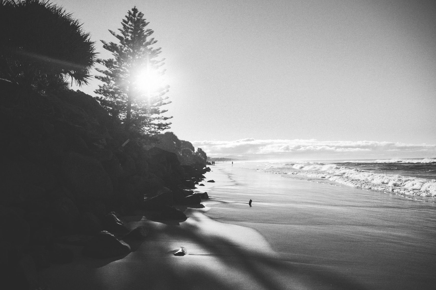 Sur la photo en noir et blanc, le soleil se cache derrière l'arbre. Les rochers sont dans l'ombre alors que la plage est éclairée