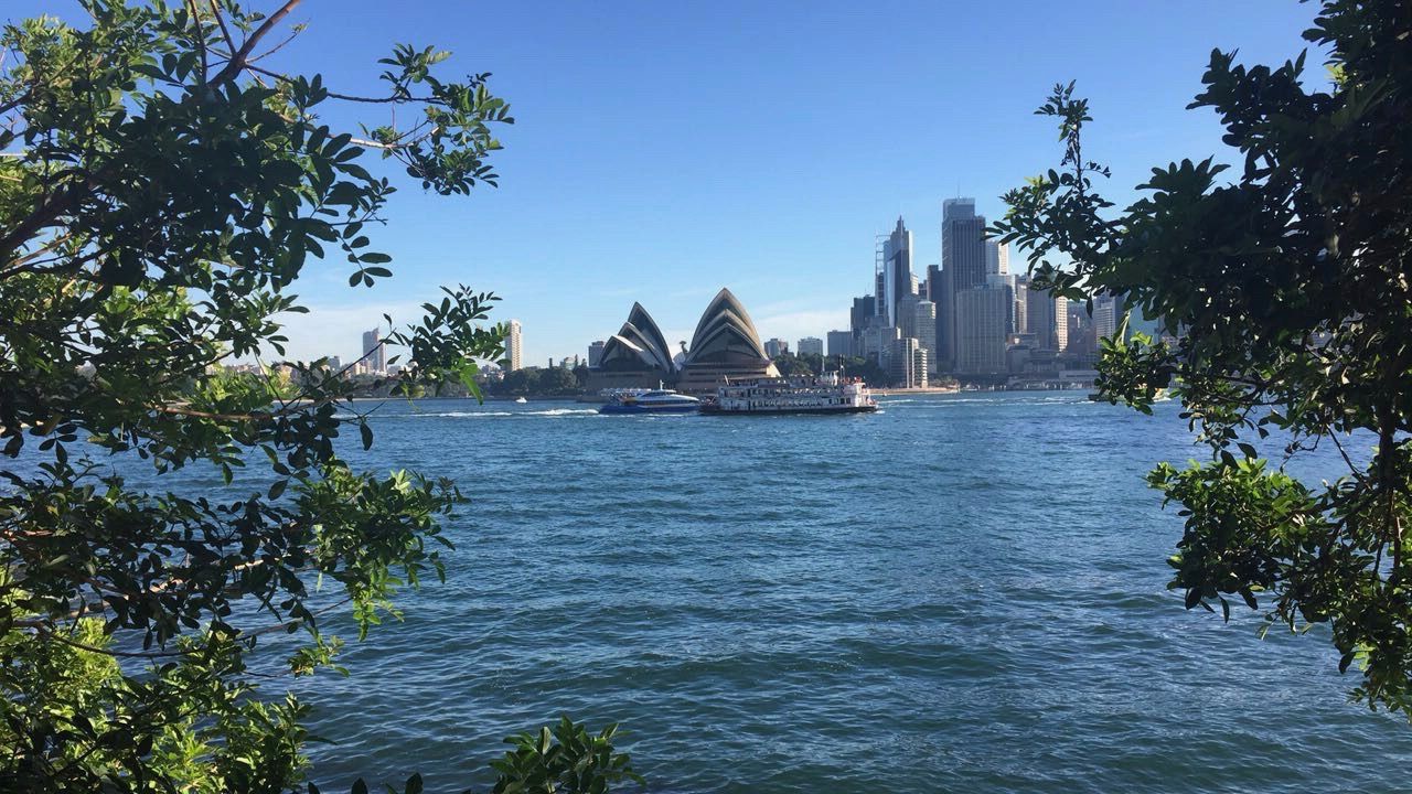 L'opéra de Sydney vu du nord